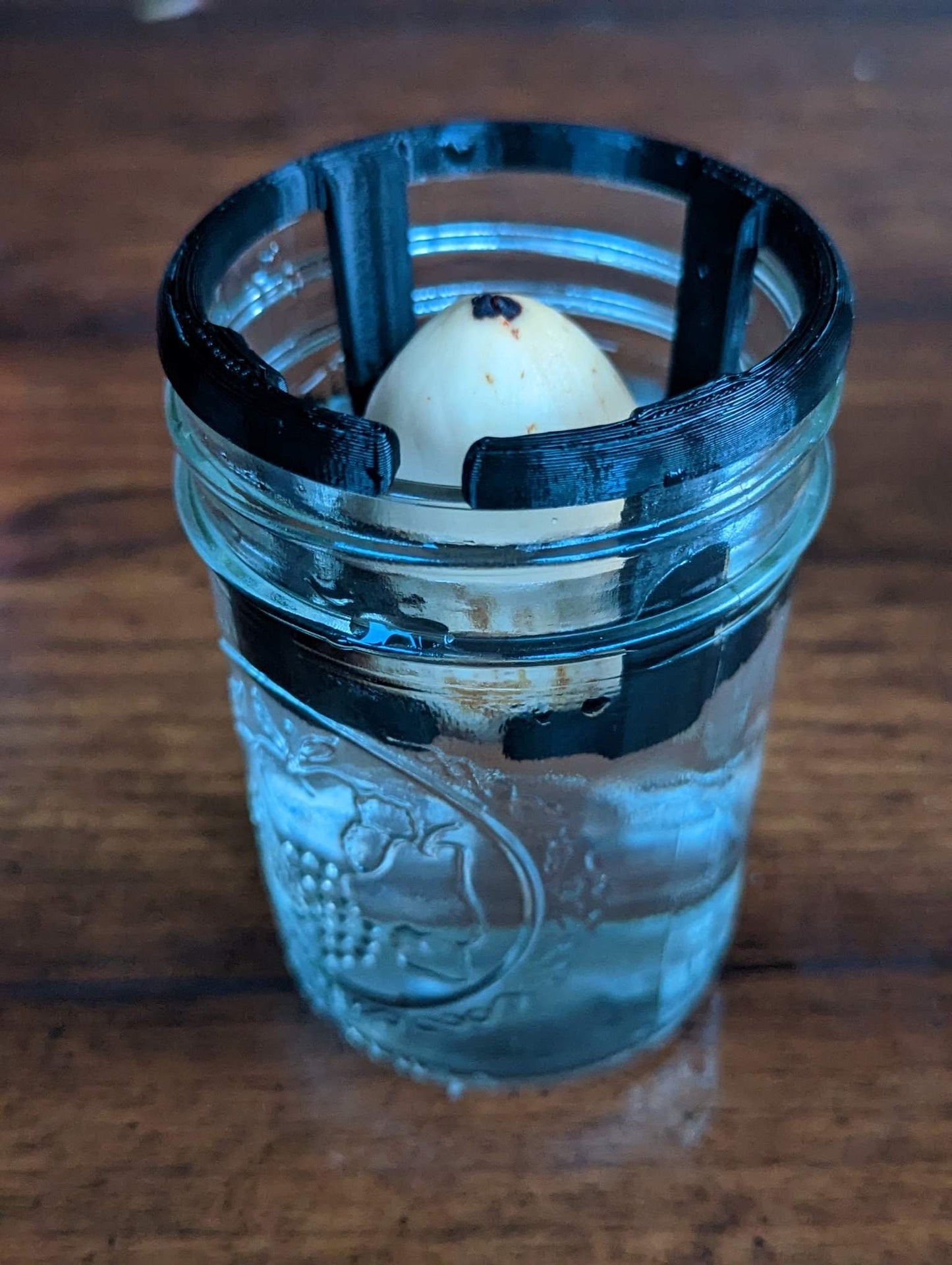 Avocado Seed Holder for Mason Jar | 3D Printed Plant Grower - Gardening Solution (GR-02)