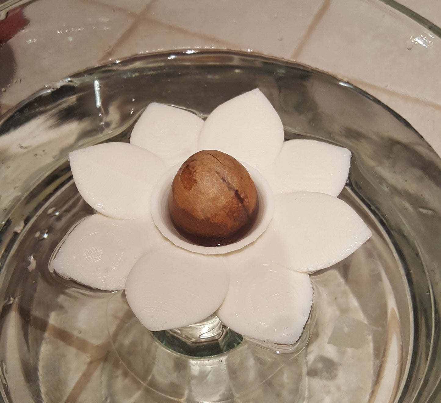 Avocado Flower Boat | 3D Printed Plant Grower - Gardening Solution (GR-03)