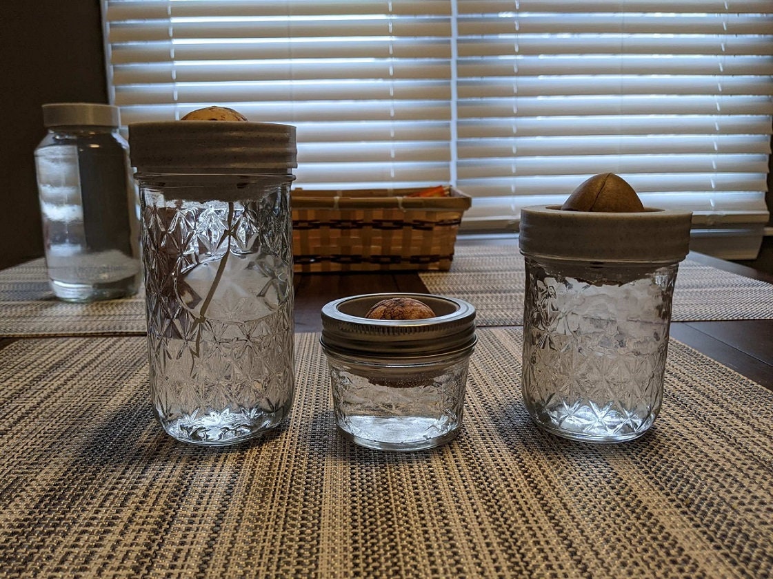 Avocado Planter for Mason Jar | 3D Printed Plant Grower - Gardening Solution (GR-05)