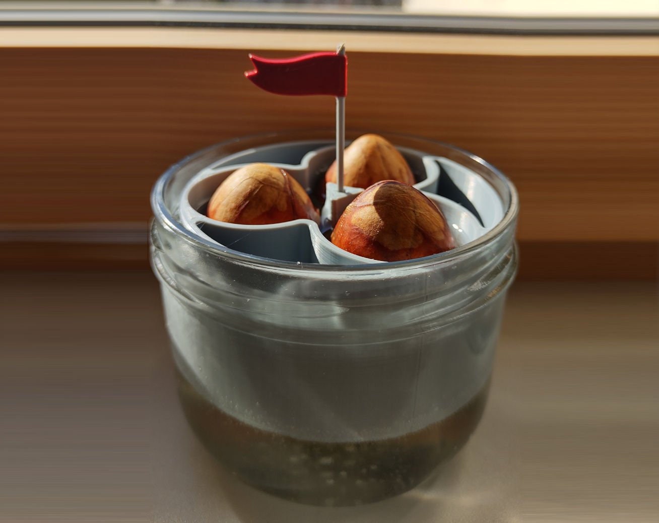 AvoBoat for Three Avocado Seeds | 3D Printed Plant Grower - Gardening Solution (GR-07)