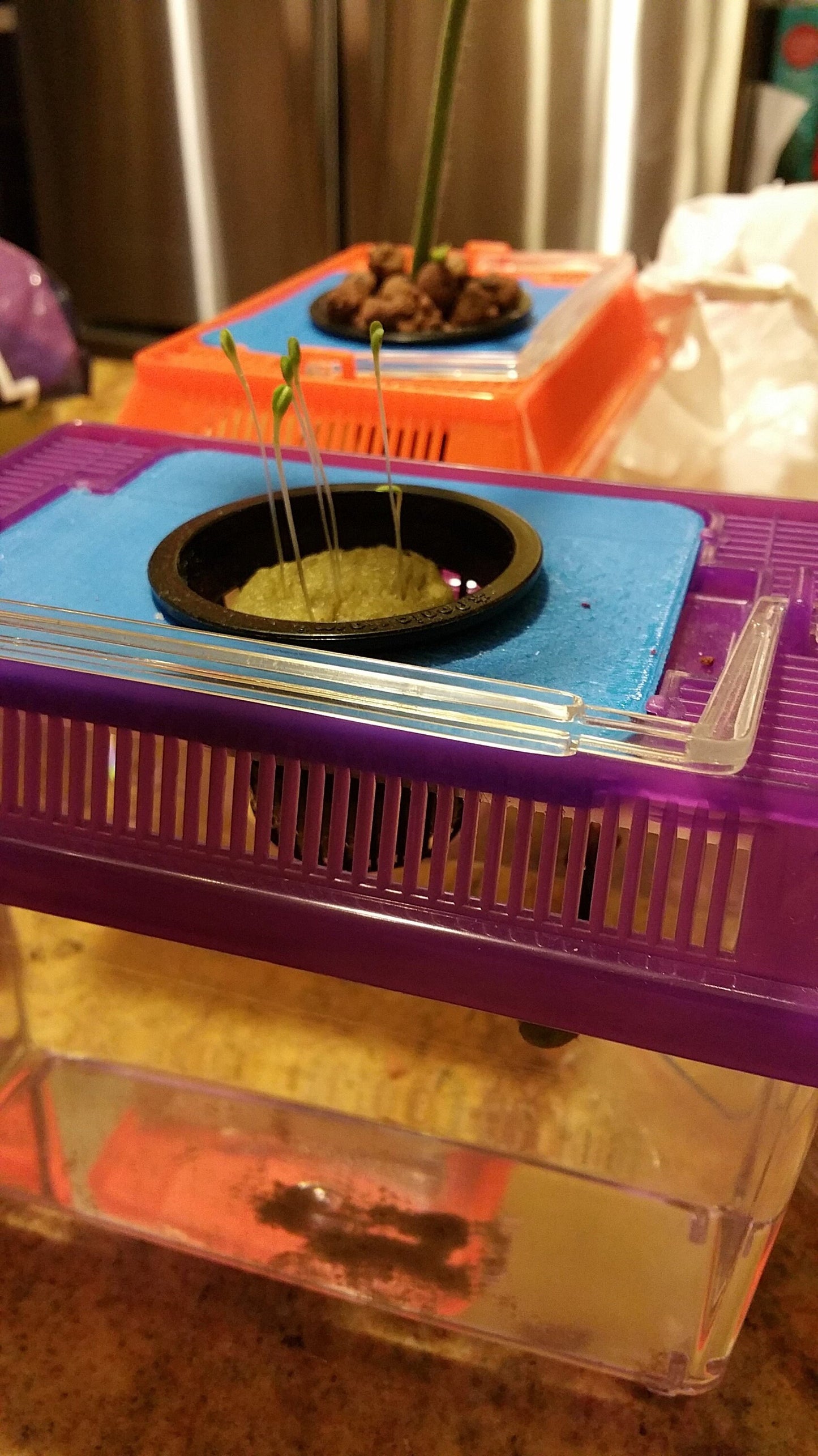 Aquarium Lid for Beta Fish - Turn your boring Aquarium into an Aquaponic Grower | 3D Printed Plant Grower - Gardening Solution (GR-19)