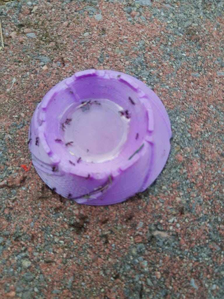 a purple object is sitting on the ground