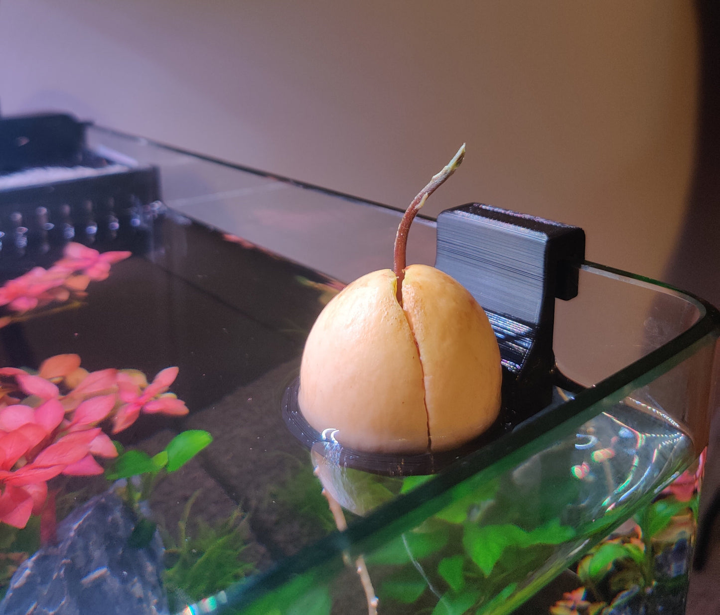 Avocado Support For Aquarium | 3D Printed Plant Grower - Gardening Solution (GR-01)