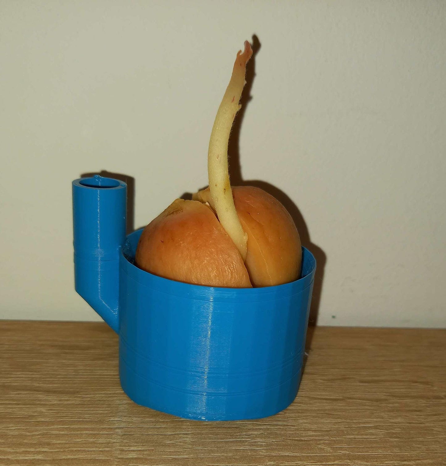 Avocado Pot | 3D Printed Plant Grower - Gardening Solution (GR-08)