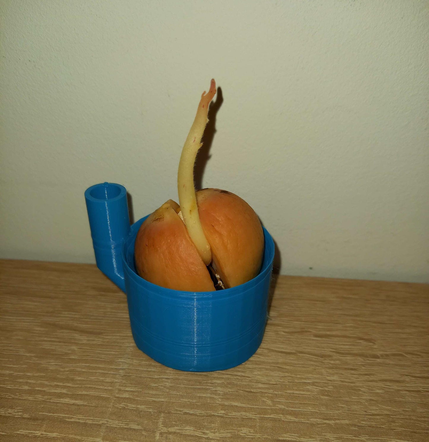 Avocado Pot | 3D Printed Plant Grower - Gardening Solution (GR-08)