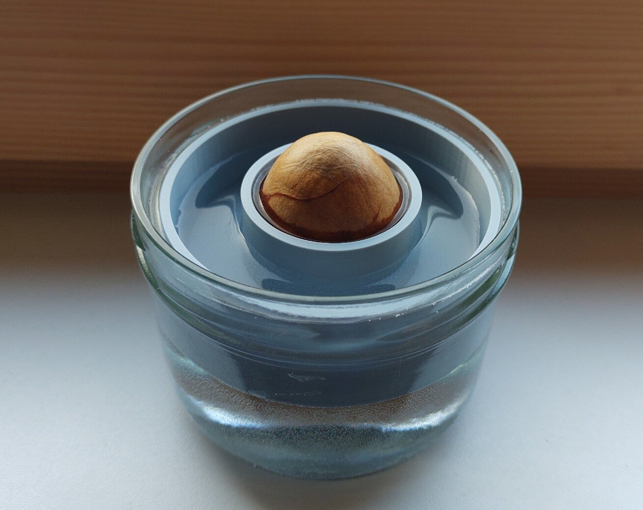 AvoBoat for One Avocado Seed | 3D Printed Plant Grower - Gardening Solution (GR-10)