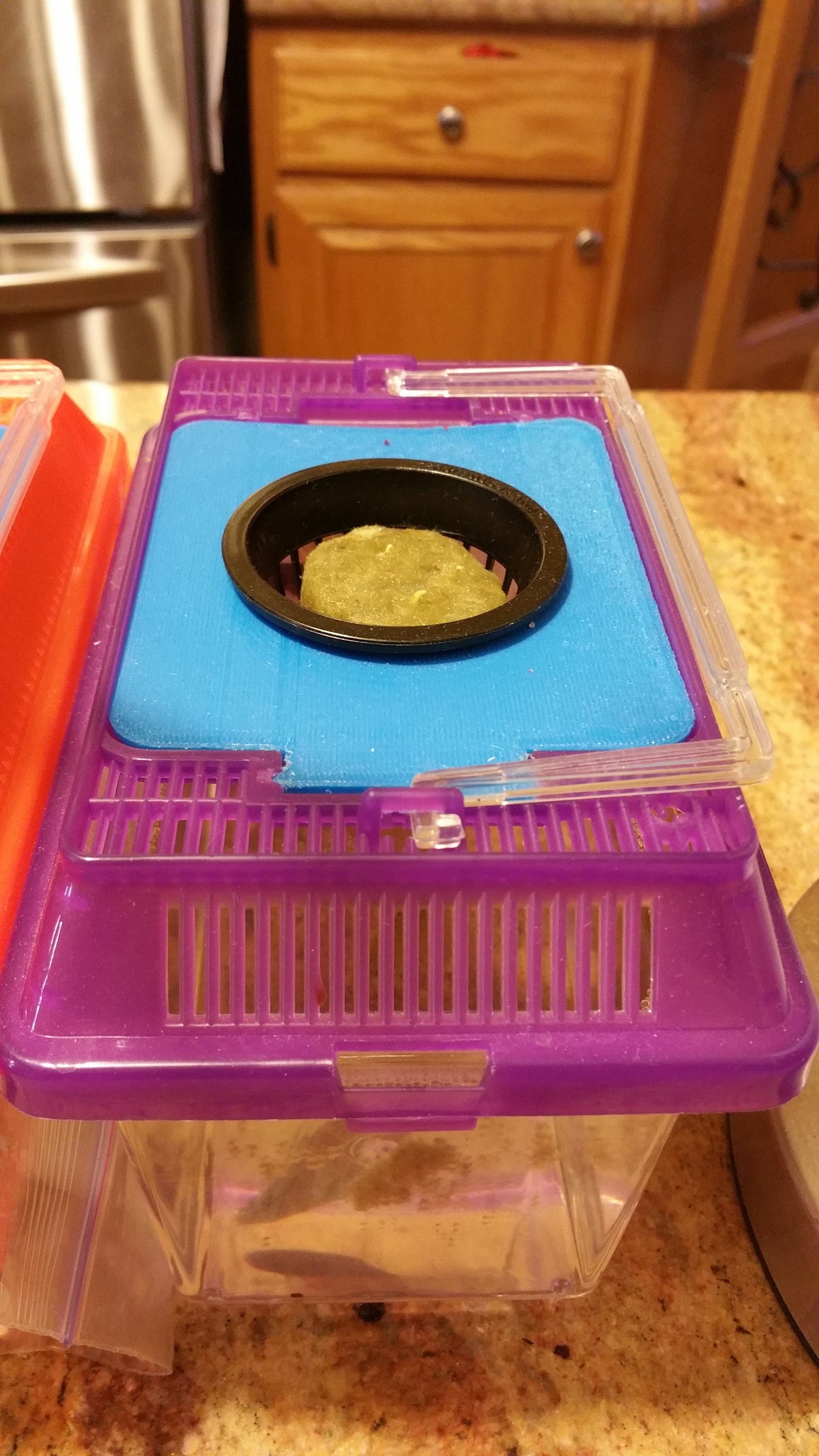 Aquarium Lid for Beta Fish - Turn your boring Aquarium into an Aquaponic Grower | 3D Printed Plant Grower - Gardening Solution (GR-19)