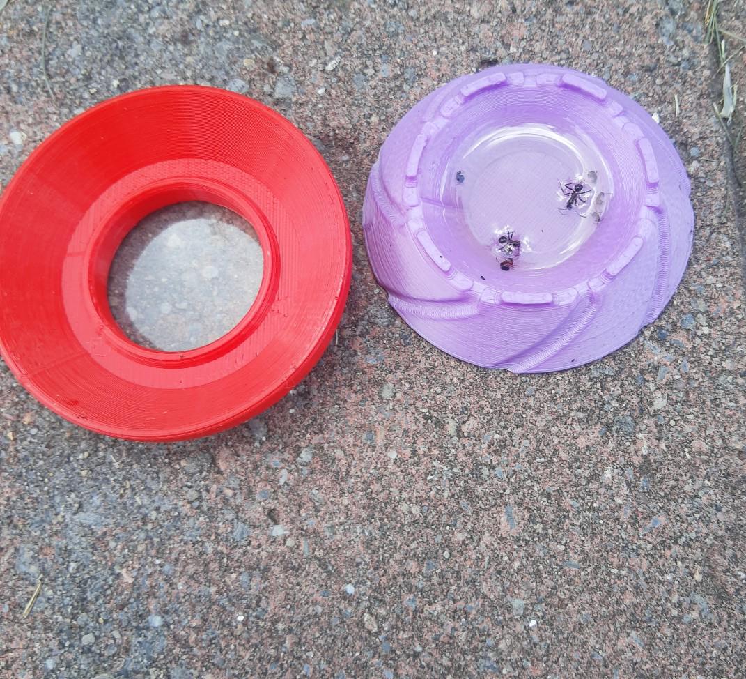 two frisbees sitting on the ground next to each other