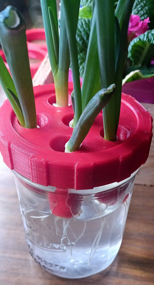 Mason Wide Mouth Green Onion Grower | 3D Printed Plant Grower - Gardening Solution (GR-16)