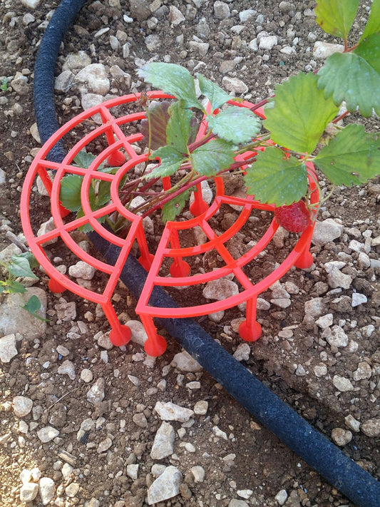 a plant growing out of a hose in the ground