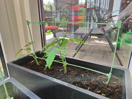 a window sill with a plant in it