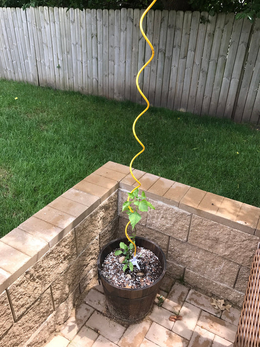 a potted plant on a ledge next to a fence