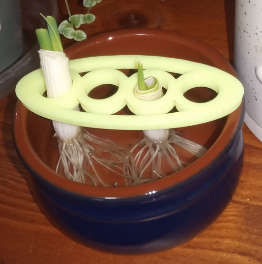 Spring Onion Holding while Re-growing Device | 3D Printed Plant Grower - Gardening Solution (GR-25)