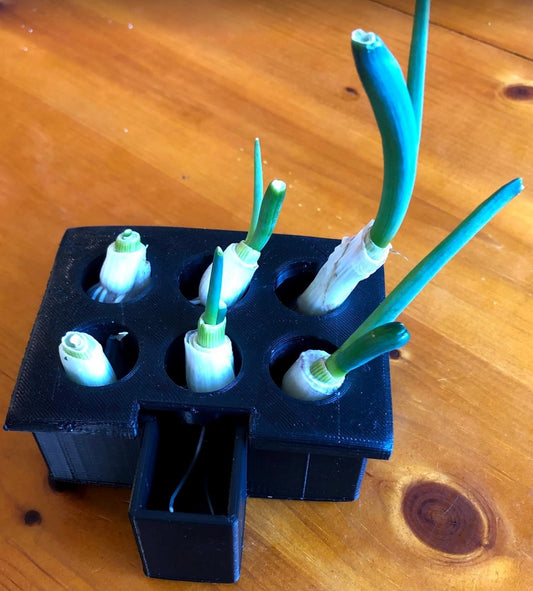 Green Onion / Scallion Growing Box | 3D Printed Plant Grower - Gardening Solution (GR-24)