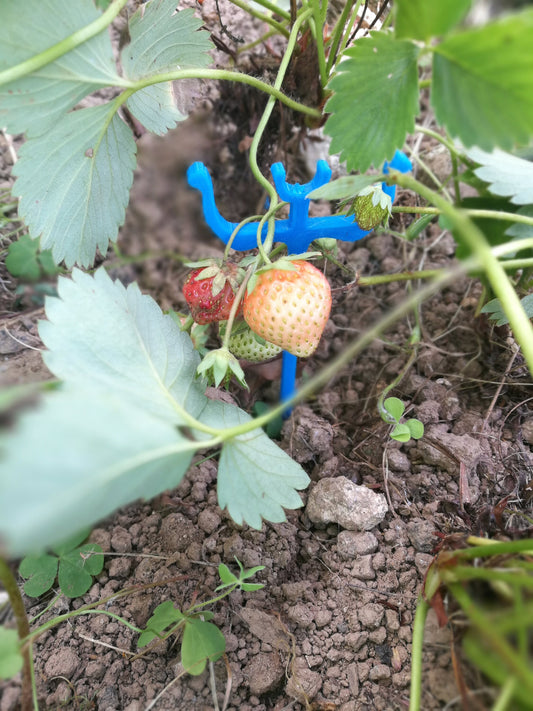 a small toy figure is growing on a plant