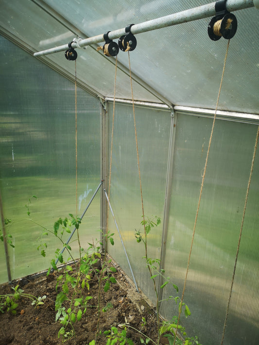 a green house with plants growing inside of it